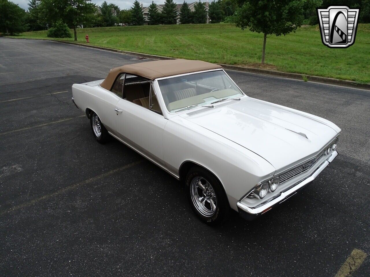 Chevrolet-Chevelle-1966-White-Tan-3806-8