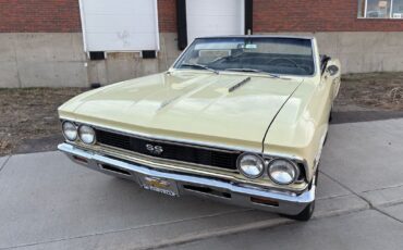 Chevrolet-Chevelle-1966-Yellow-Black-4875-10