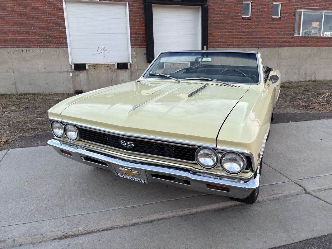 Chevrolet-Chevelle-1966-Yellow-Black-4875-10