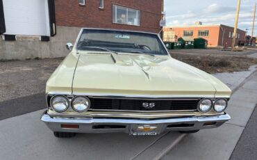 Chevrolet-Chevelle-1966-Yellow-Black-4875-15