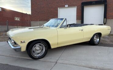 Chevrolet-Chevelle-1966-Yellow-Black-4875-16