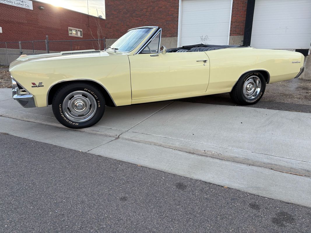 Chevrolet-Chevelle-1966-Yellow-Black-4875-17