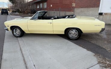 Chevrolet-Chevelle-1966-Yellow-Black-4875-19