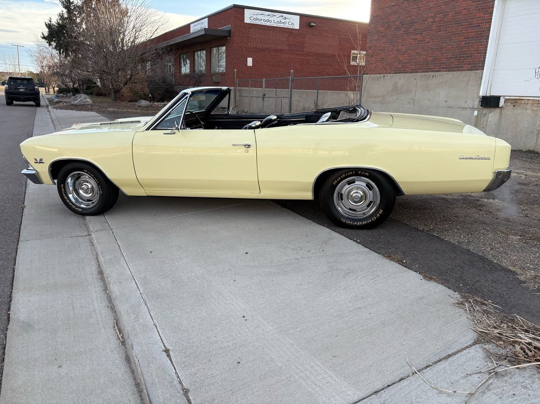 Chevrolet-Chevelle-1966-Yellow-Black-4875-19