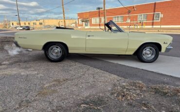 Chevrolet-Chevelle-1966-Yellow-Black-4875-21