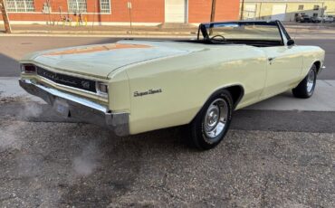 Chevrolet-Chevelle-1966-Yellow-Black-4875-4