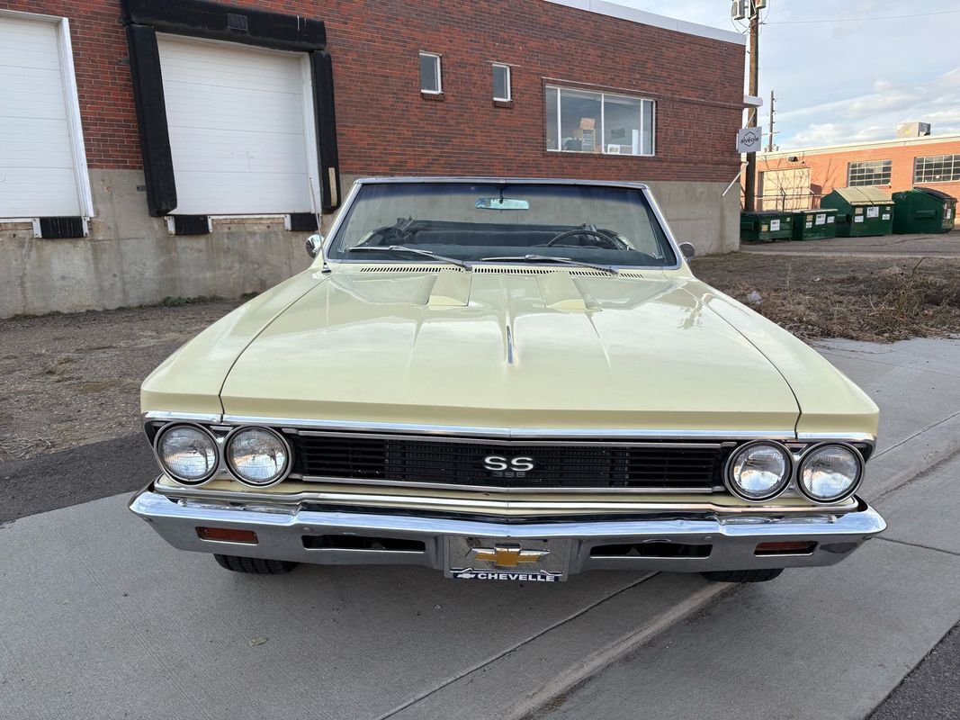 Chevrolet-Chevelle-1966-Yellow-Black-4875-6