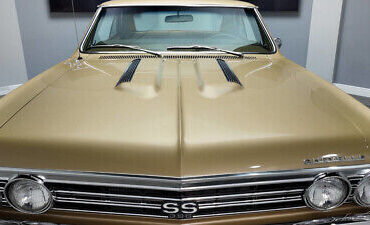 Chevrolet-Chevelle-1967-Gold-Gold-10760-10