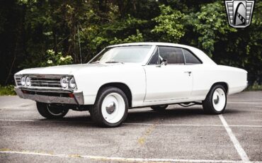 Chevrolet-Chevelle-1967-White-Red-2247-3