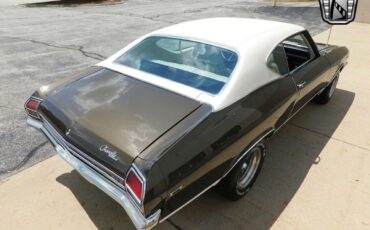 Chevrolet-Chevelle-1969-Brown-White-12339-4