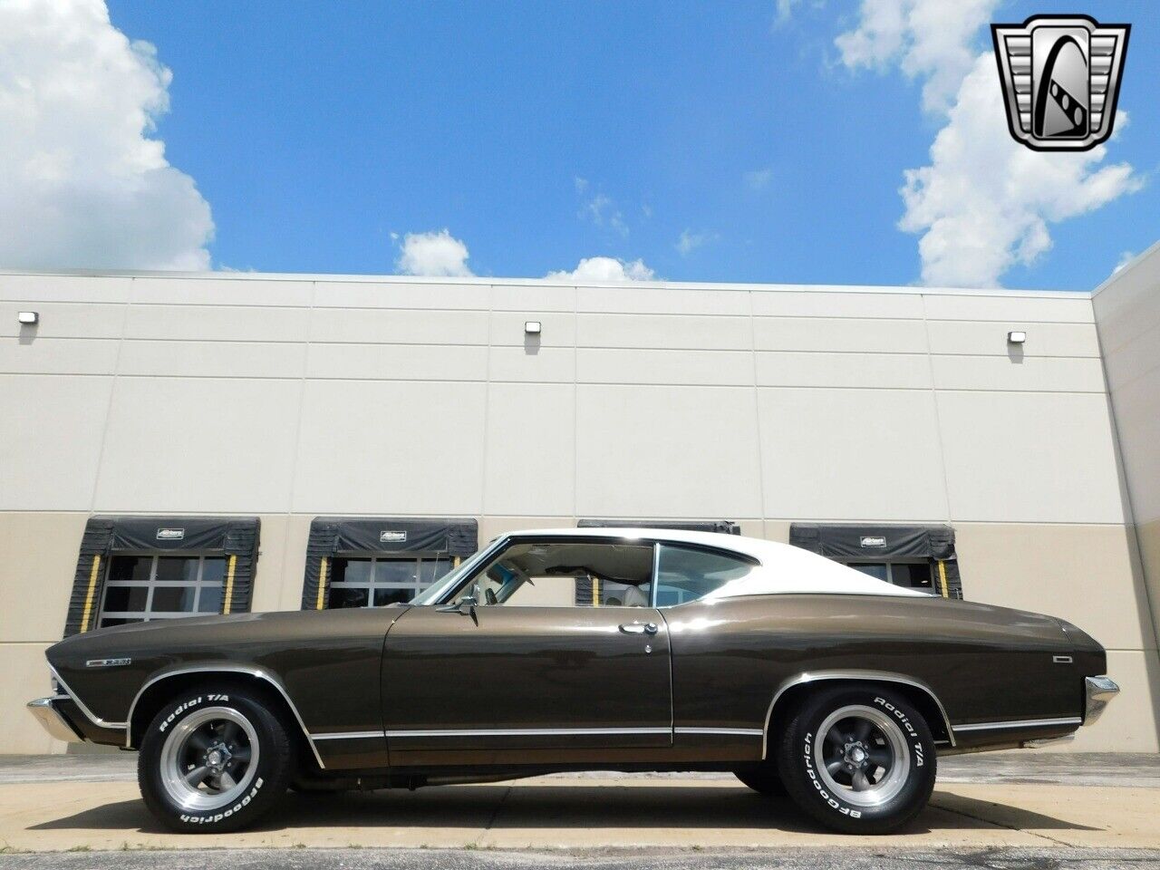 Chevrolet-Chevelle-1969-Brown-White-12339-7