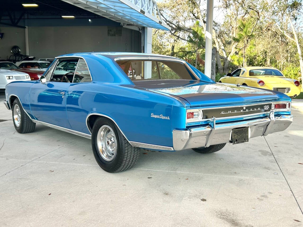 Chevrolet-Chevelle-Break-1966-Blue-Black-14450-9