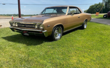 Chevrolet-Chevelle-Coupe-1967-Gold-Black-82081-4