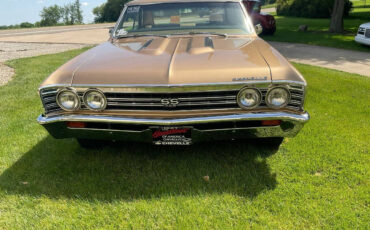 Chevrolet-Chevelle-Coupe-1967-Gold-Black-82081-5