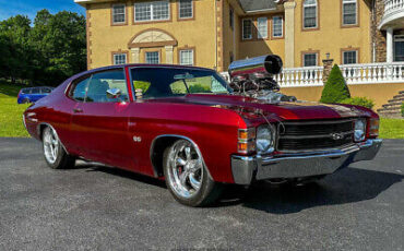 Chevrolet-Chevelle-Coupe-1971-Other-Color-Other-Color-322-11