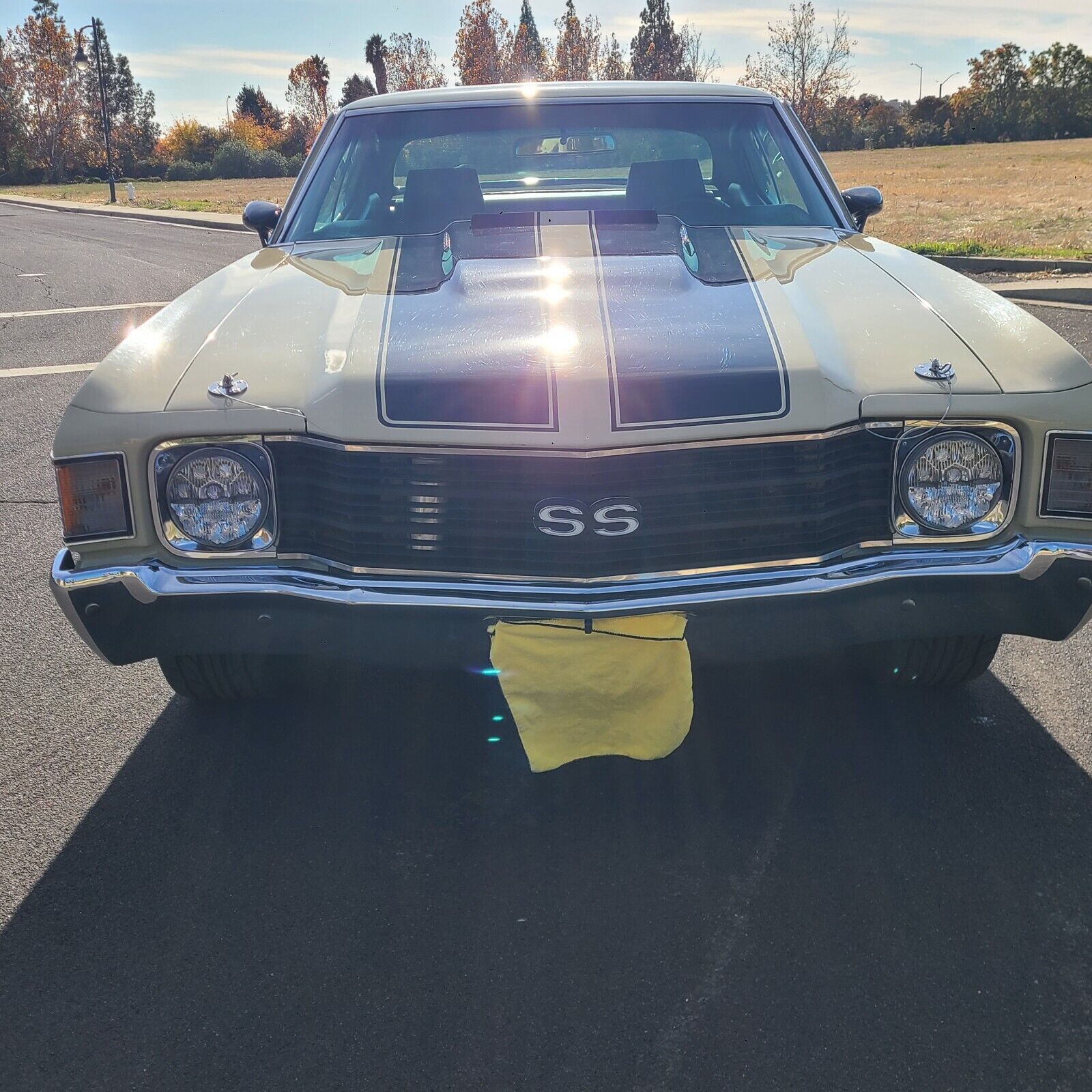 Chevrolet-Chevelle-Coupe-1972-Beige-70811-3