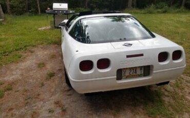 Chevrolet-Chevelle-Coupe-1995-White-Black-156106-2