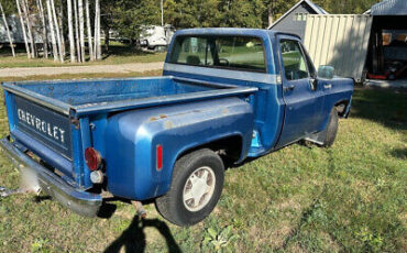 Chevrolet-Cheyenne-10-Pickup-1973-Blue-Blue-178552-4