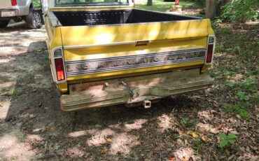 Chevrolet-Cheyenne-1972-93342-3