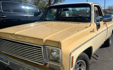 Chevrolet-Cheyenne-1977-yellow-167371-2