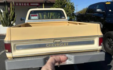 Chevrolet-Cheyenne-1977-yellow-167371-4