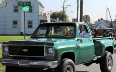 Chevrolet-Cheyenne-pickup-1977-green-140101-10