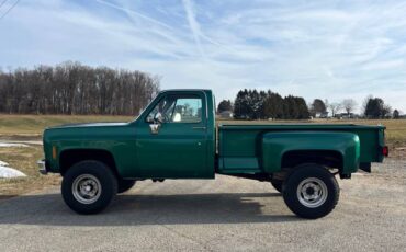 Chevrolet-Cheyenne-pickup-1977-green-140101-4