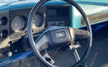 Chevrolet-Ck-10-series-1978-blue-189823-1