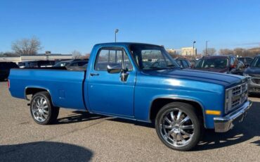 Chevrolet-Ck-10-series-1978-blue-189823-2