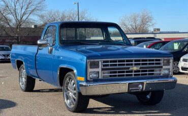 Chevrolet-Ck-10-series-1978-blue-189823-4