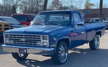 Chevrolet-Ck-10-series-1978-blue-189823-6