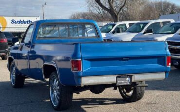 Chevrolet-Ck-10-series-1978-blue-189823-8