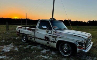 Chevrolet-Ck-pickup-12-ton-nominal-1986-custom-11780-15