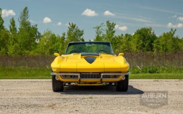 Chevrolet-Corvette-1965-Yellow-Black-7461-13