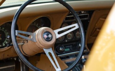 Chevrolet-Corvette-1969-Gold-Tan-56309-35