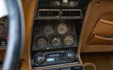 Chevrolet-Corvette-1969-Gold-Tan-56309-38