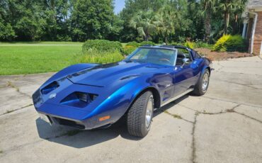 Chevrolet-Corvette-1973-blue-45890-3