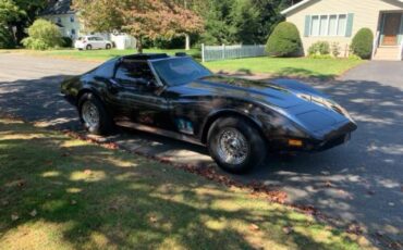 Chevrolet-Corvette-1973-grey-102998-2