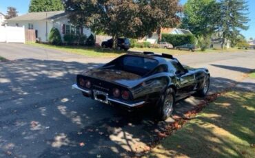 Chevrolet-Corvette-1973-grey-102998-3