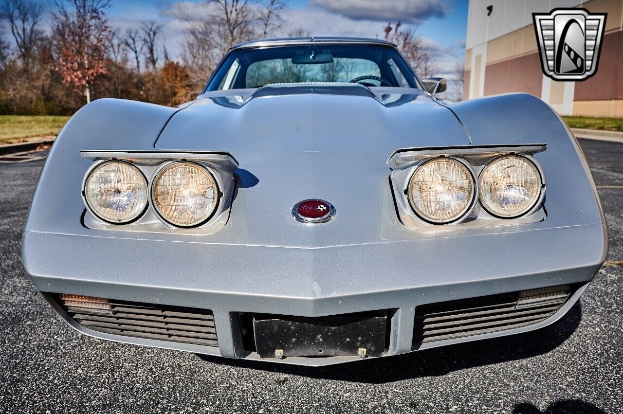 Chevrolet-Corvette-1974-Gray-Black-15644-10