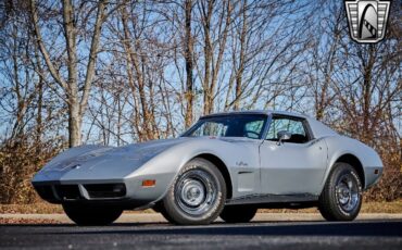 Chevrolet-Corvette-1974-Gray-Black-15644-2