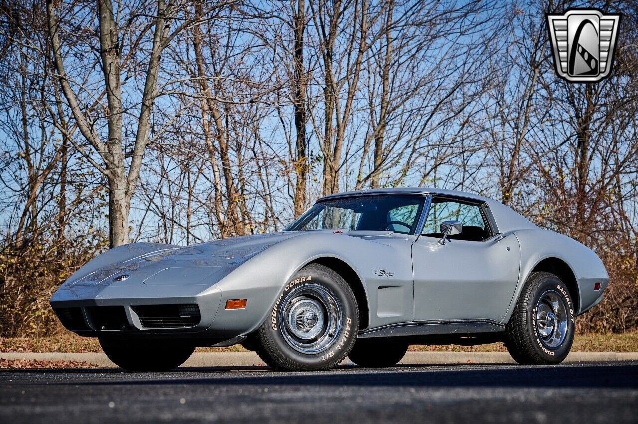 Chevrolet-Corvette-1974-Gray-Black-15644-2