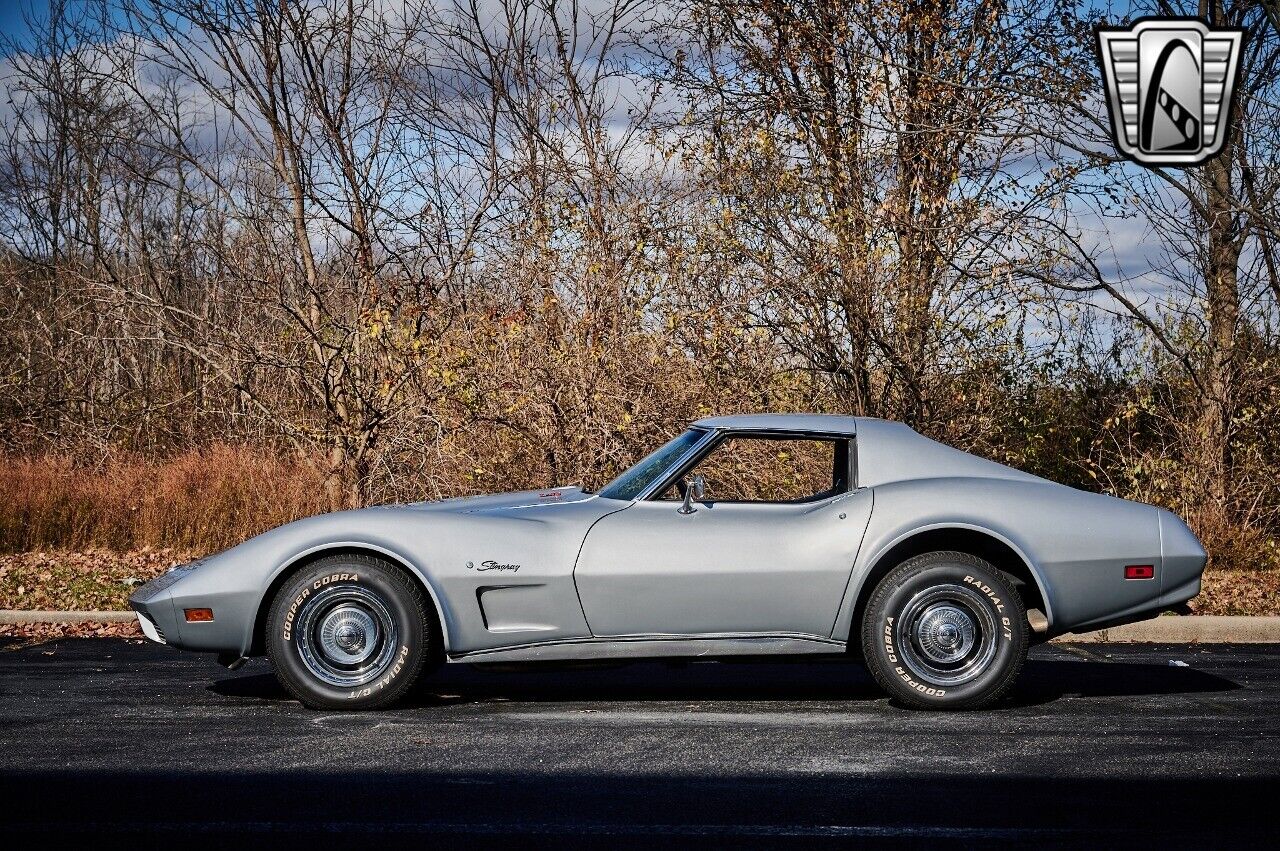 Chevrolet-Corvette-1974-Gray-Black-15644-3