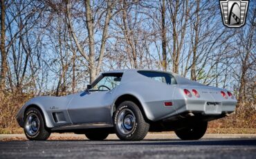 Chevrolet-Corvette-1974-Gray-Black-15644-4