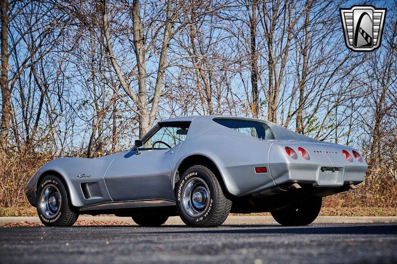 Chevrolet-Corvette-1974-Gray-Black-15644-4