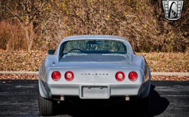 Chevrolet-Corvette-1974-Gray-Black-15644-5