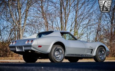 Chevrolet-Corvette-1974-Gray-Black-15644-6