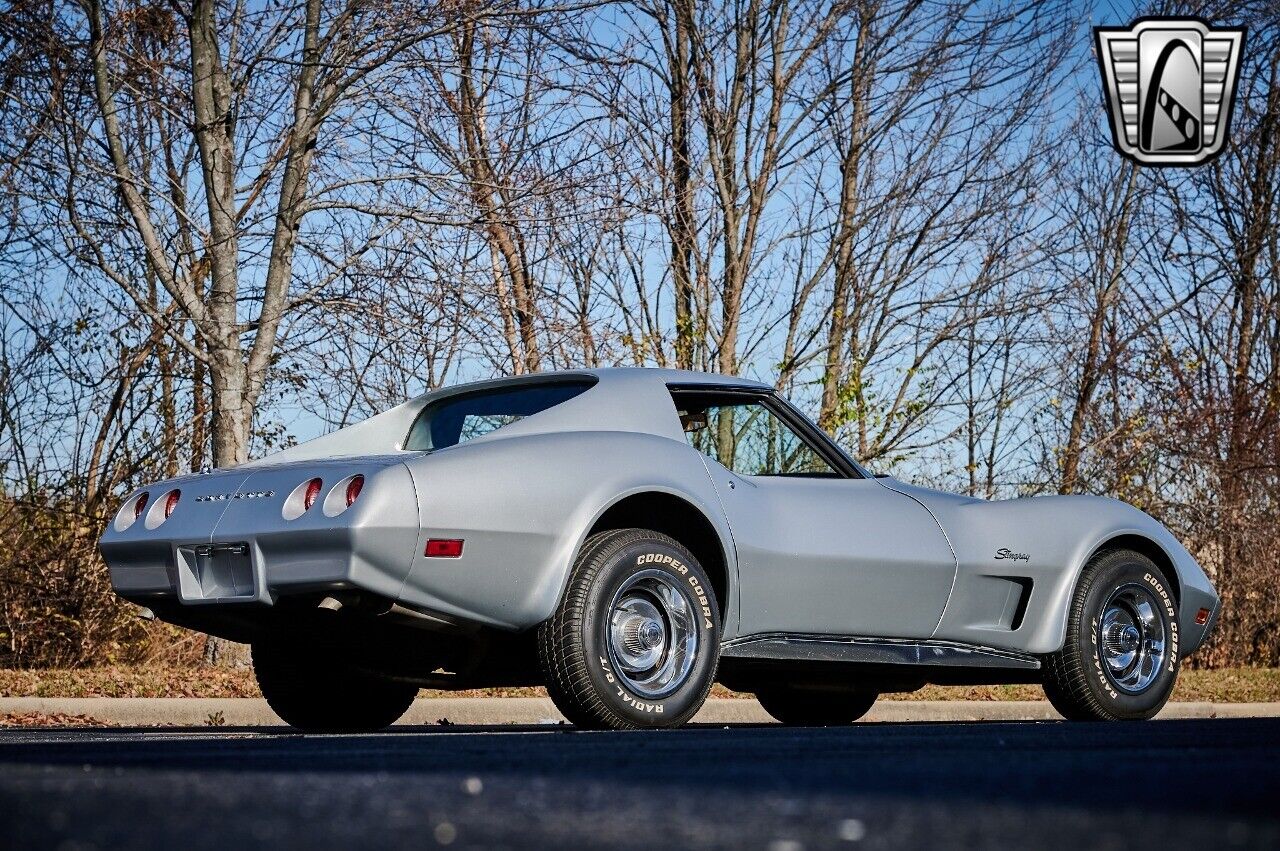 Chevrolet-Corvette-1974-Gray-Black-15644-6