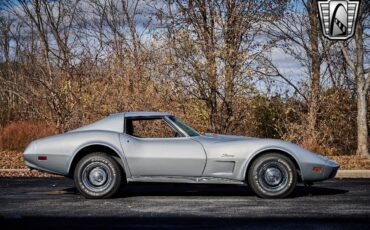 Chevrolet-Corvette-1974-Gray-Black-15644-7