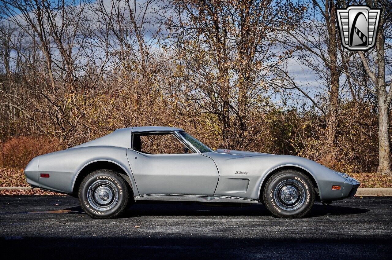 Chevrolet-Corvette-1974-Gray-Black-15644-7